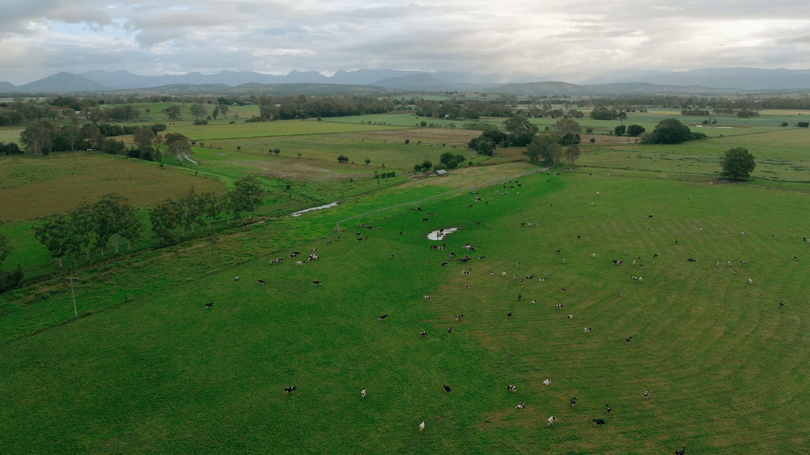 DCAP Newsletter Image