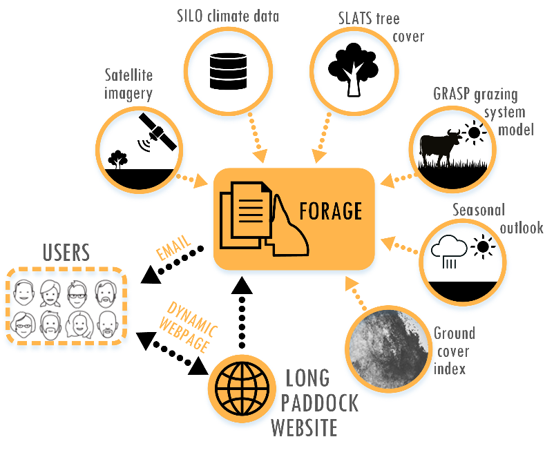 how forage works